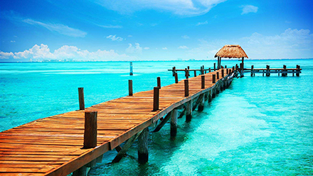 1498899821118066.jpg 1.jpg