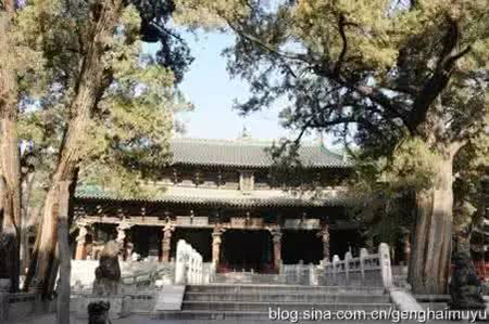 1500861007120153.jpg 2.jpg