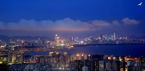 1501897700120794.jpg 1.jpg