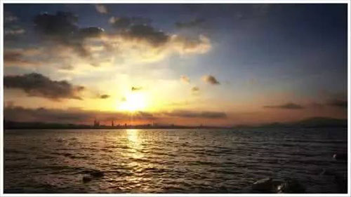 1502846856692295.jpg 1.jpg