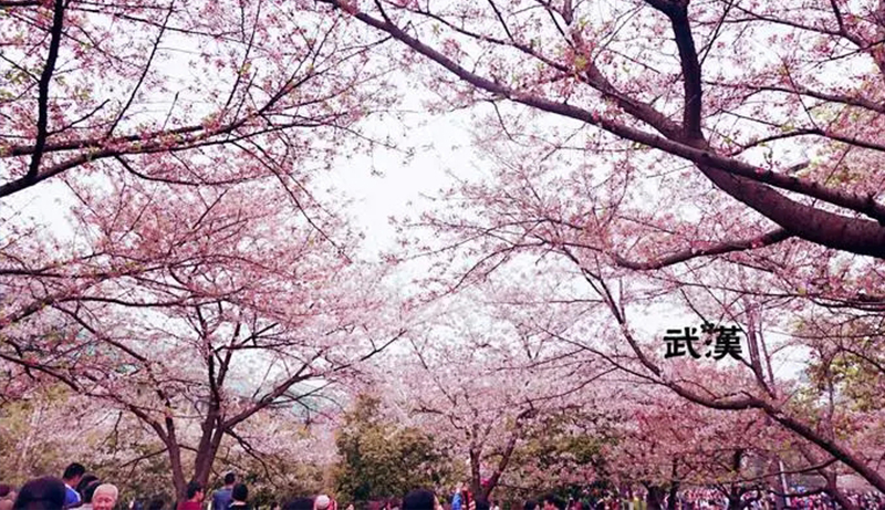 1521798557140929.jpg 3.jpg