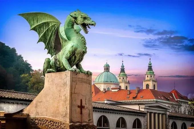 1639298250102196.jpg 12.jpg