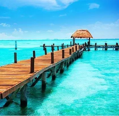 1641821279137279.jpg 22.jpg